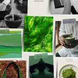 First Light (Okumidori)