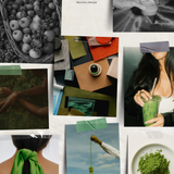 Silent Bloom (Saemidori & Okumidori)